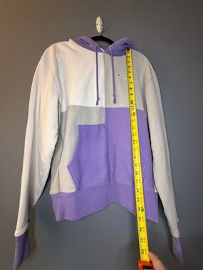 Champion Lavender and Cream Pullover Hoodie